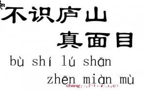 不识庐山真面目的故事 - 不识庐山真面目典故 - 成语故事 