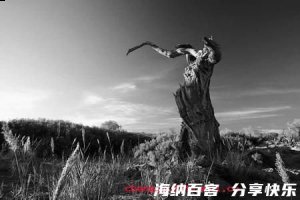 死而不朽的故事 - 死而不朽典故 - 成语故事