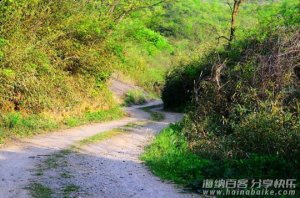 忆童年，美女儿时爬树掏鸟窝，结果… 