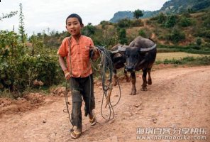 我的小黑，我童年的老伙伴！ 