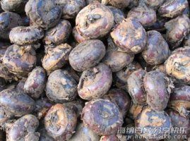 童年，一起挖荸荠的岁月 