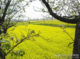 追忆童年时光 
