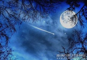 老虎会不会爬树？真相竟然是... 