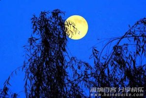 月亮婆婆的故事 