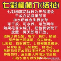 摆地摊七彩柳货源批发 