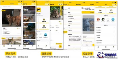 用于校园流浪猫信息记录和分享的小程序源码丨微信云开发中大猫谱小程序源码 