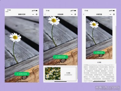 慧眼识花草微信小程序源码丨植物辨别小程序 