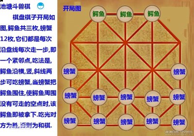 池塘斗兽棋 