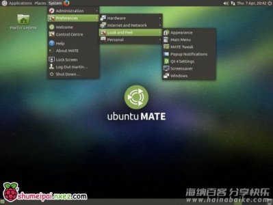 基于Ubuntu Mate的树莓派NAS搭建 