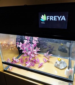 用 Freya 搭建动植物自动化造景缸 