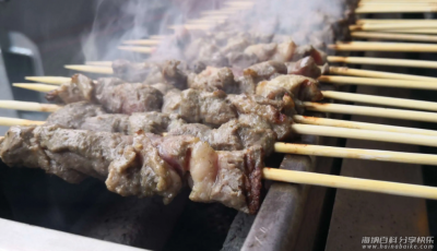 羊肉串烧烤技术配料配方制作视频 