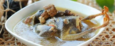 炖鸽子汤怎么做 炖鸽子汤的做法 