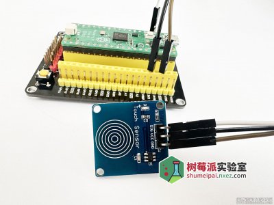 树莓派 Pico 上使用触摸开关 TTP223 模块 
