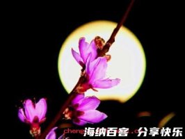 春花秋月的故事 - 春花秋月典故 - 成语故事 
