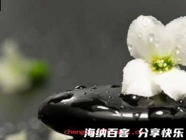 焚书坑儒的故事 - 焚书坑儒典故 - 成语故事 
