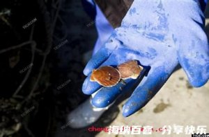 顾头不顾尾的故事 - 顾头不顾尾典故 - 成语故事 