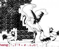 鹤立鸡群的故事 - 鹤立鸡群典故 - 成语故事 