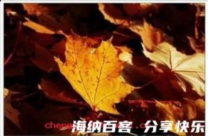 疾风扫秋叶的故事 - 疾风扫秋叶典故 - 成语故事