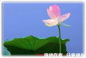 羯鼓催花的故事 - 羯鼓催花典故 - 成语故事 