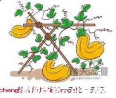 浇瓜之惠的故事 - 浇瓜之惠典故 - 成语故事 