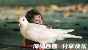 伶仃孤苦的故事 - 伶仃孤苦典故 - 成语故事 
