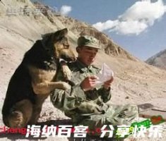 陇头音信的故事 - 陇头音信典故 - 成语故事