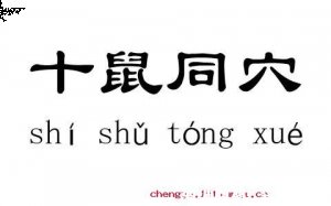 十鼠同穴的故事 - 十鼠同穴典故 - 成语故事 
