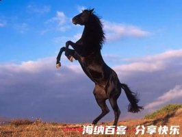 司马青衫的故事 - 司马青衫典故 - 成语故事 