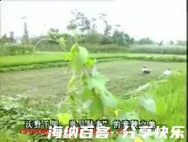 望帝啼鹃的故事 - 望帝啼鹃典故 - 成语故事 