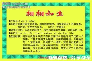 栩栩如生的故事 - 栩栩如生典故 - 成语故事 