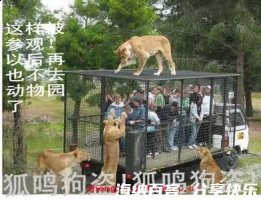 行同狗豨的故事 - 行同狗豨典故 - 成语故事 