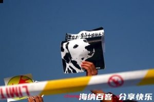 跖狗吠尧的故事 - 跖狗吠尧典故 - 成语故事 