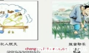 目不见睫的故事 - 目不见睫典故 - 成语故事 