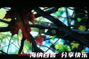 秋风扫落叶的故事 - 秋风扫落叶典故 - 成语故事 