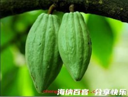 黄台之瓜的故事 - 黄台之瓜典故 - 成语故事 