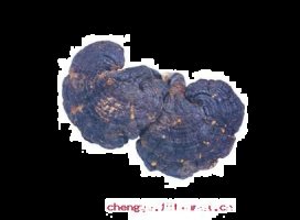 紫芝眉宇的故事 - 紫芝眉宇典故 - 成语故事 