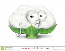 凉了半截的故事 - 凉了半截典故 - 成语故事 