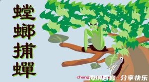 螳螂捕蝉的故事 - 螳螂捕蝉典故 - 成语故事 