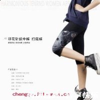 大风之歌的故事 - 大风之歌典故 - 成语故事 
