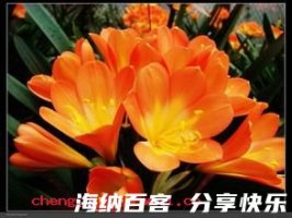 嫩草怕霜霜怕日的故事 - 嫩草怕霜霜怕日典故 - 成语故事 