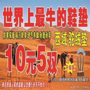 摆地摊驼绒鞋垫批发多少钱 西域驼绒鞋垫厂家 