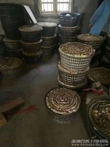 摆地摊小本创业蛤蜊油，哈蜡油、歪子油、嘎啦油批发