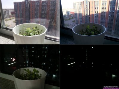 闲置树莓派：种朵花然后做延时摄影吧 
