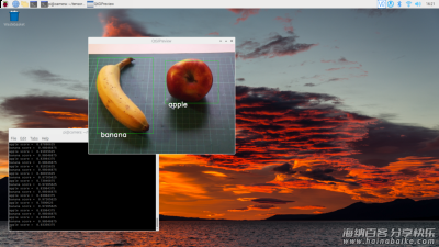 Picamera2 库 + TensorFlow Lite 实现实时对象检测 