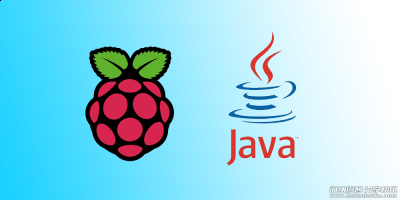 树莓派上安装 Java JDK 的方法 